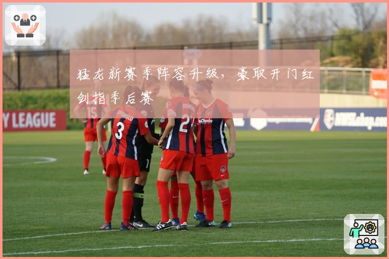 猛龙新赛季阵容升级，豪取开门红剑指季后赛