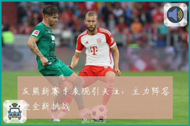 灰熊新赛季表现引关注，主力阵容迎全新挑战